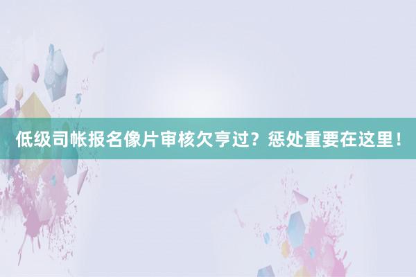 低级司帐报名像片审核欠亨过？惩处重要在这里！