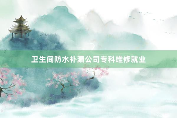 卫生间防水补漏公司专科维修就业